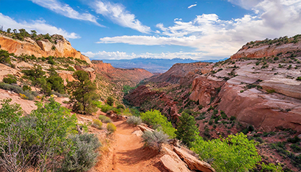 Canyon Overlook Trail